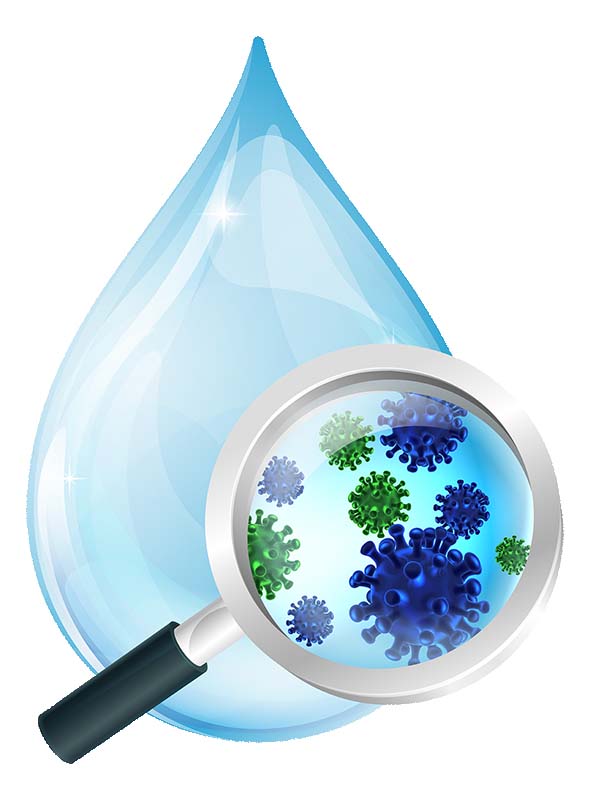 Common Water Contaminants
